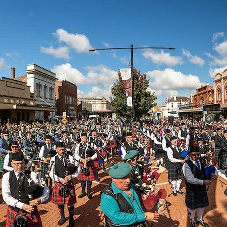 Cbd Gi Motel Glen Innes Εξωτερικό φωτογραφία